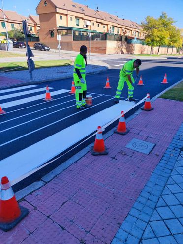 paso de cebra pintado